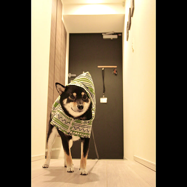 makiさんの実例写真
