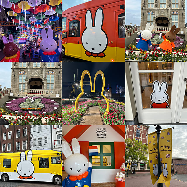 miffy.0044さんの部屋