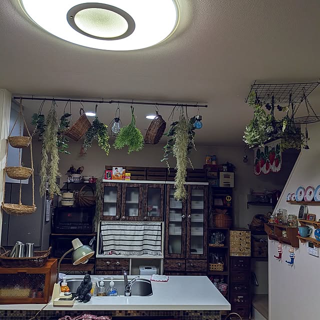 umeboshicyanさんの実例写真