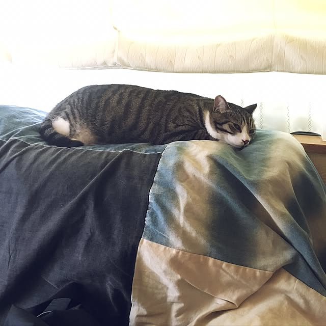 kimikimiさんの実例写真