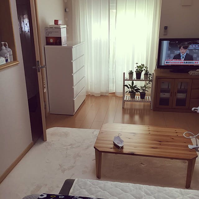 観葉植物/3COINS/ナチュラル/ニトリ/部屋全体のインテリア実例 - 2021-02-04 13:43:59