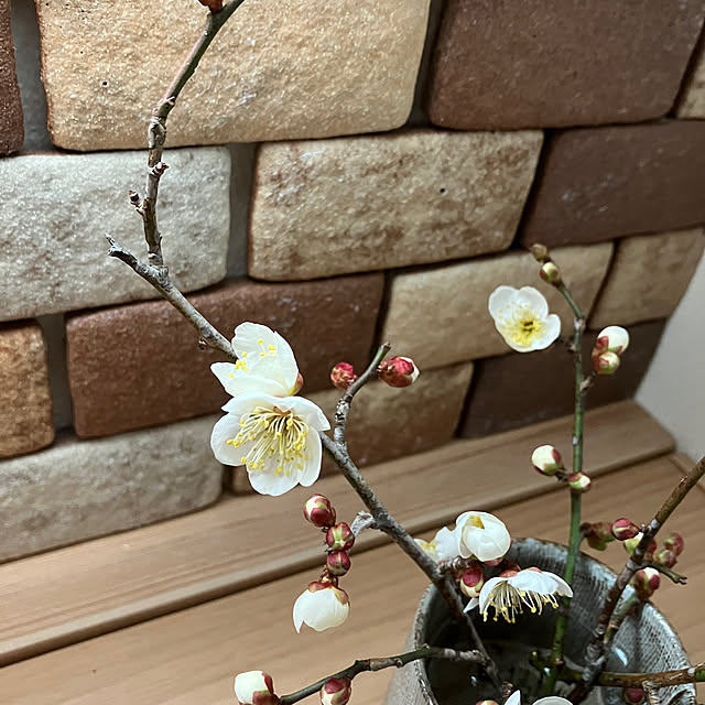 ikubooさんの部屋