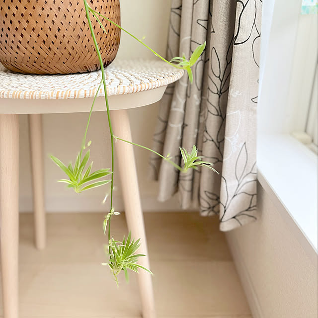 RAKI_Homeさんの実例写真