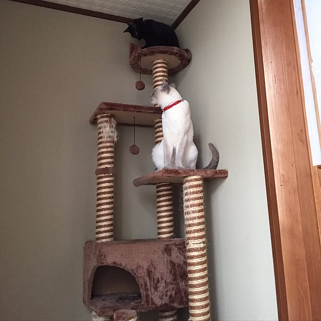 OmamekOさんの実例写真