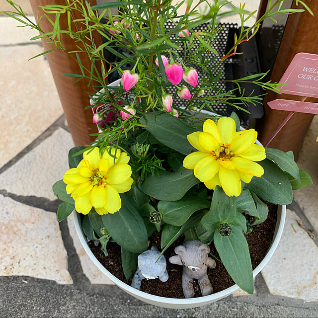 yuma0505さんの実例写真