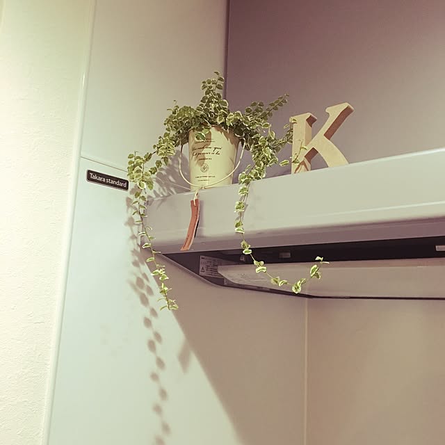 lunamamajunkoさんの実例写真