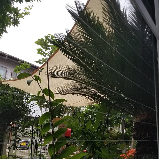 midoriさんの実例写真