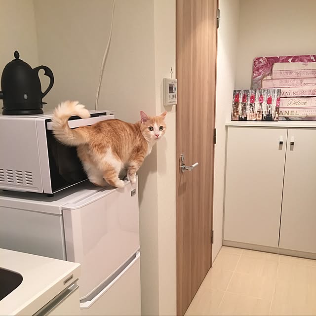 korinkorinさんの実例写真