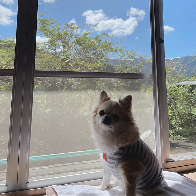 natsumiさんの実例写真