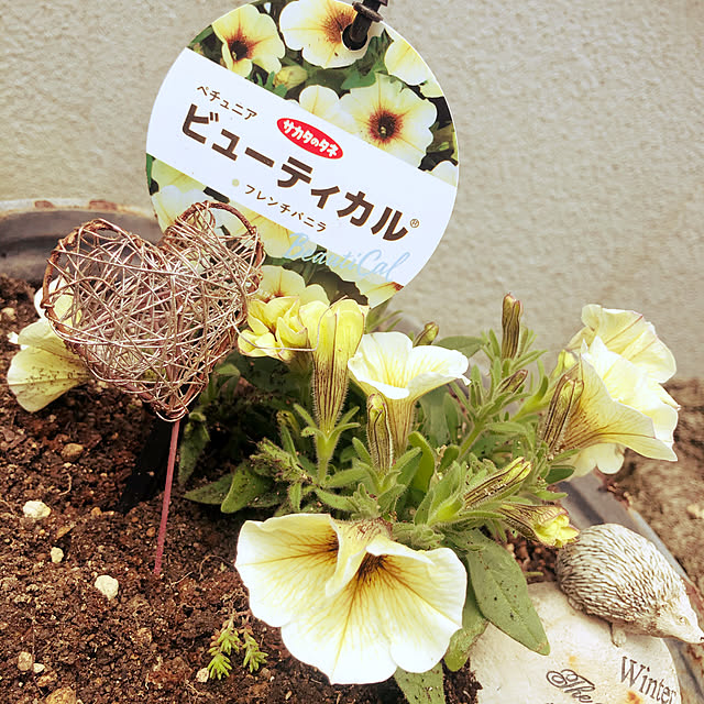 happy129さんの実例写真