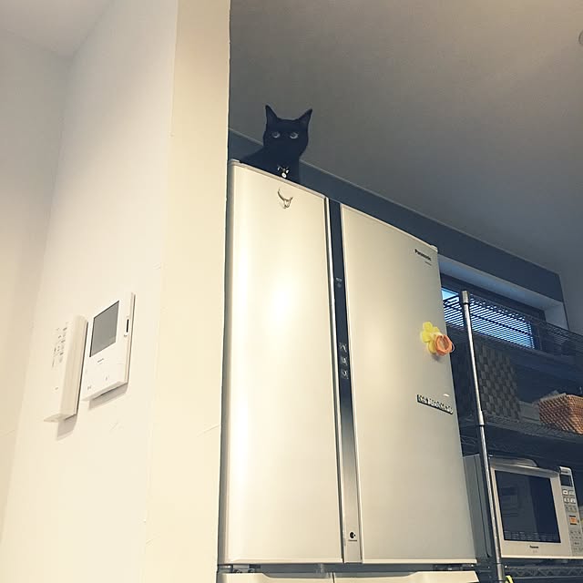 cocco0505さんの実例写真