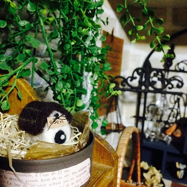 edenさんの実例写真