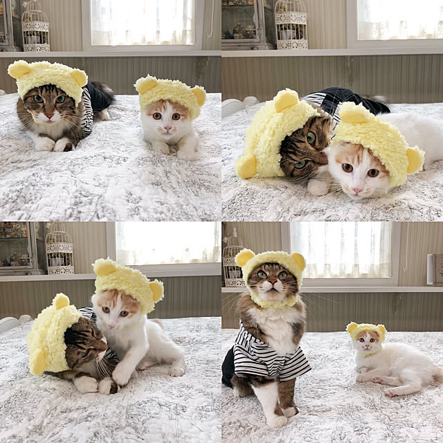 yuchiさんの実例写真