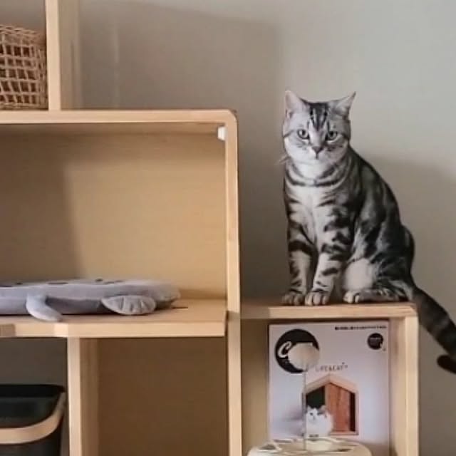 lovepeaceさんの部屋
