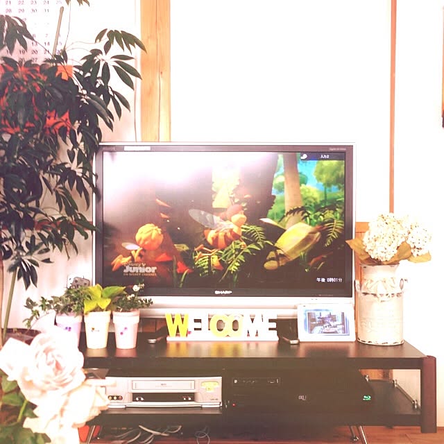 an-ckさんの実例写真
