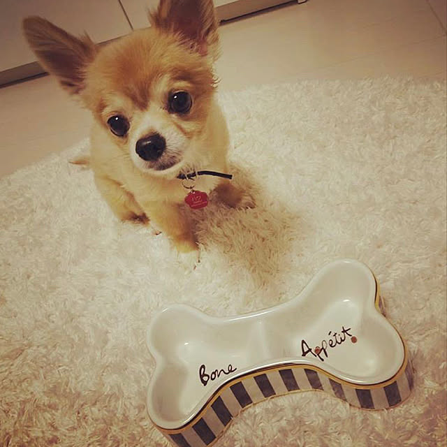 Tinker_Bellさんの実例写真