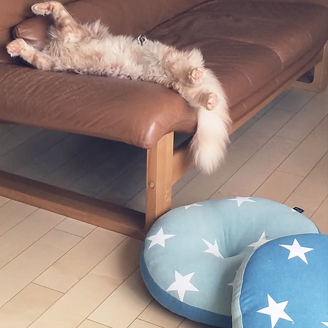 mikan0607さんの実例写真