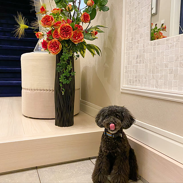 hokulonikoaさんの実例写真
