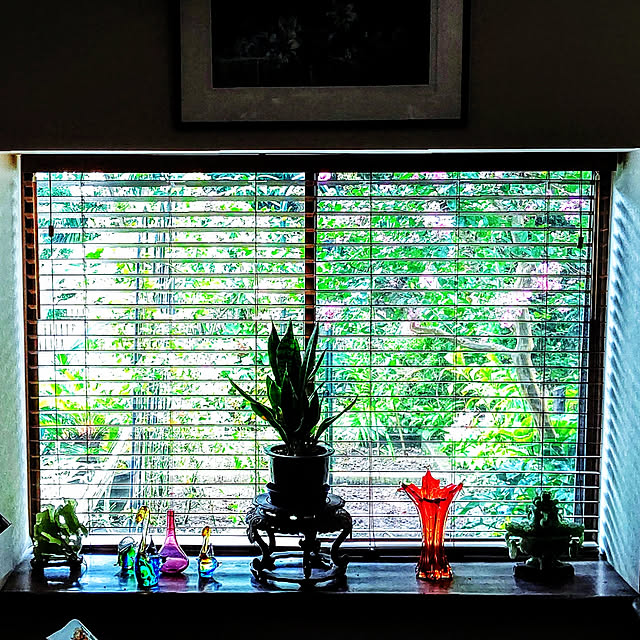 gardenさんの実例写真