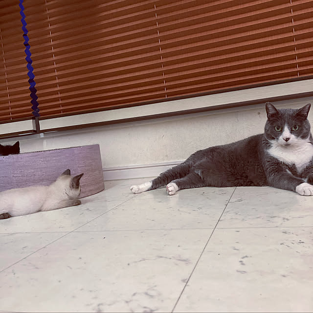 kumiさんの実例写真