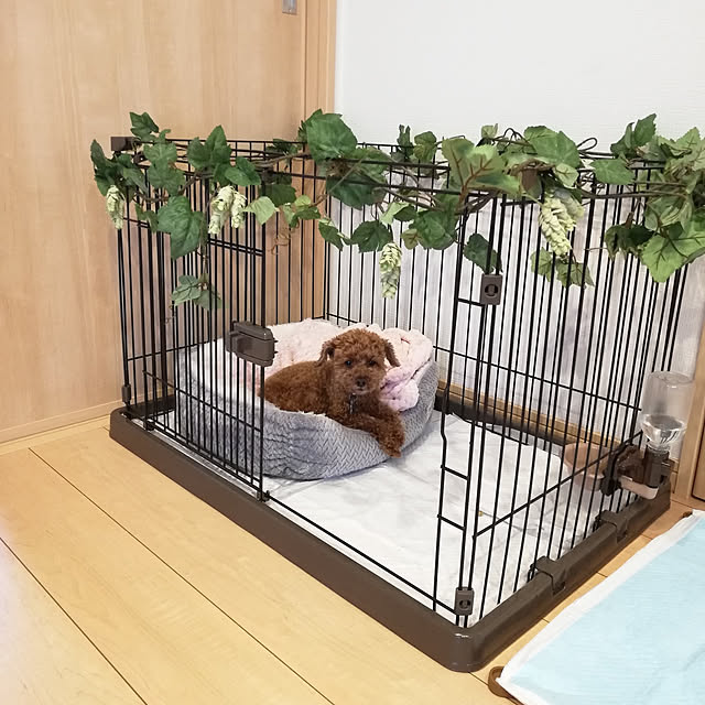satoさんの実例写真