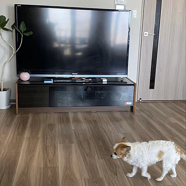 anさんの実例写真