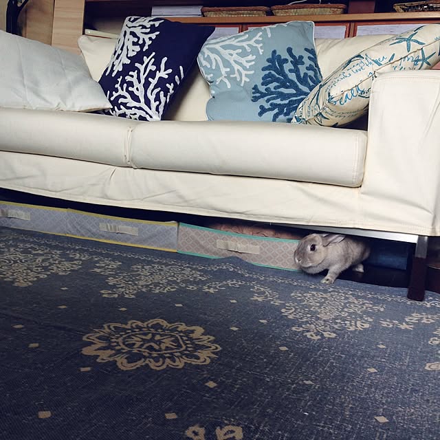 yokomokoさんの実例写真