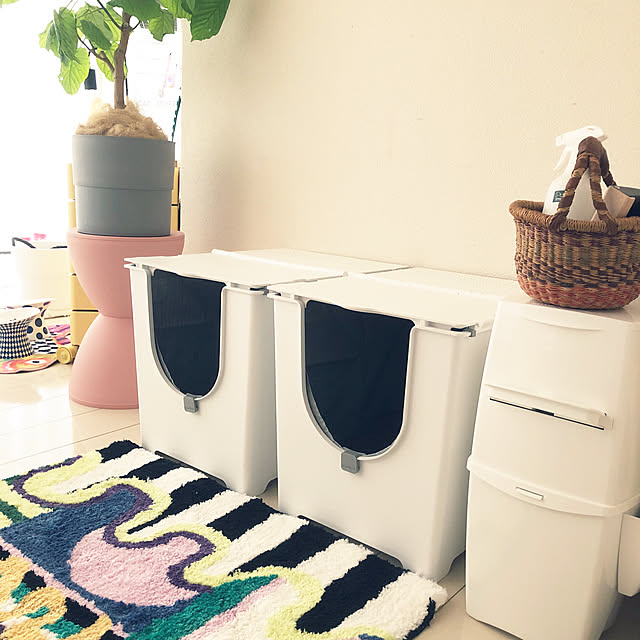 Rabiさんの実例写真