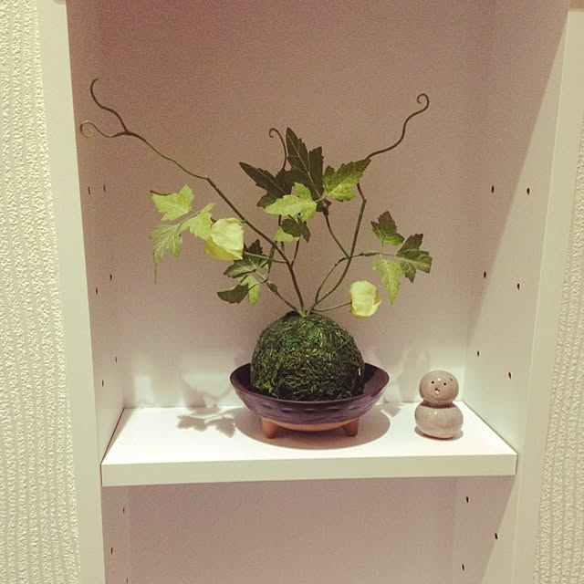 実例写真