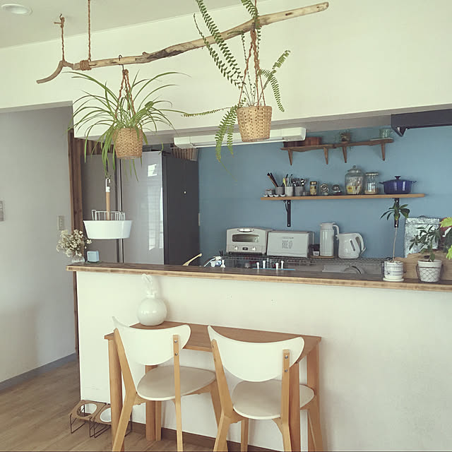 セリア/観葉植物/IKEA/キッチンのインテリア実例 - 2020-05-30 11:52:22