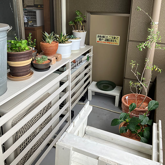 koshiregutyoさんの実例写真