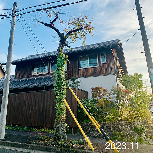 onsix777さんの実例写真