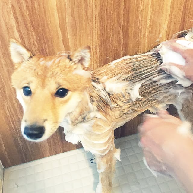 hanakoさんの実例写真