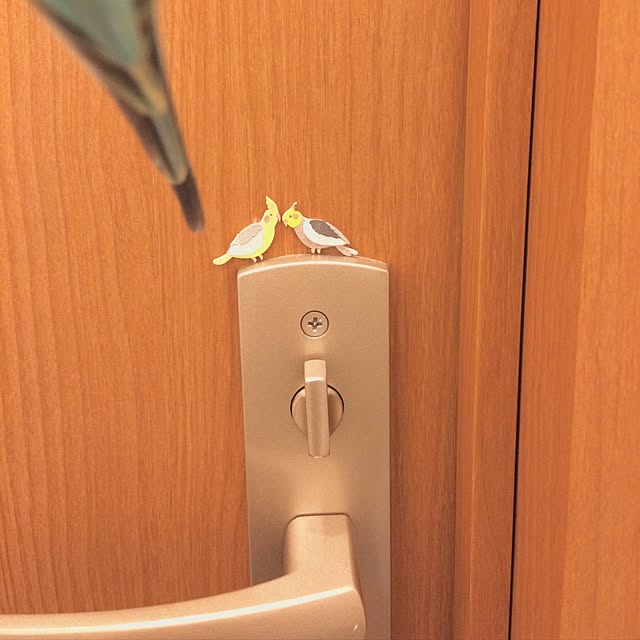 tarさんの実例写真