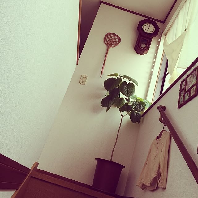 tamaharuさんの実例写真