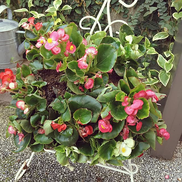 tokotokoさんの実例写真