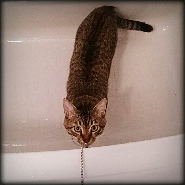 Lukiさんの実例写真