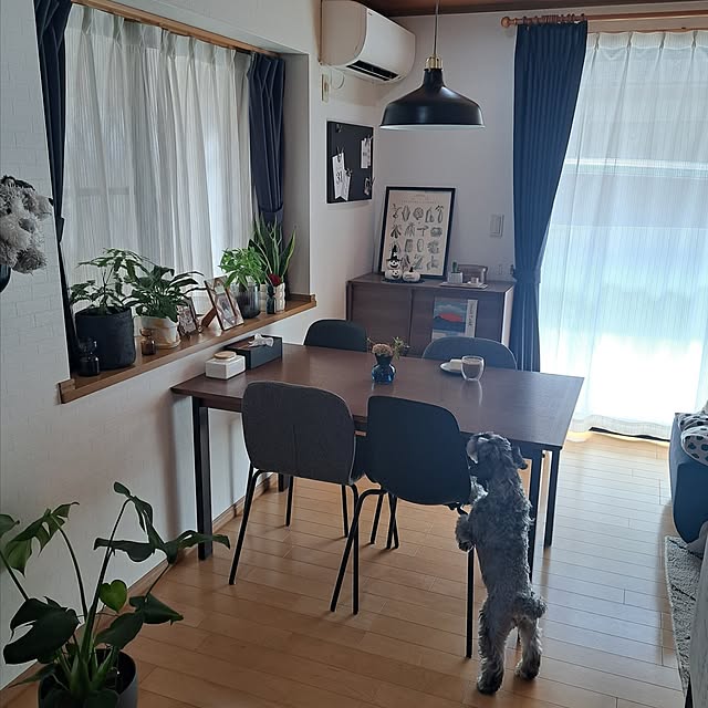 toro_roomさんの実例写真