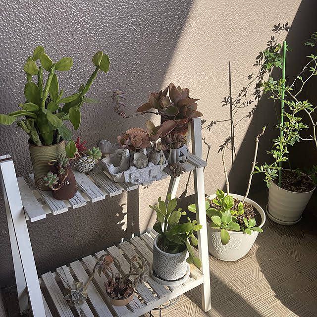 モニター応募投稿/暮らしを楽しむ/くつろぎ空間/ナチュラル/買ってよかったモノ...などのインテリア実例 - 2023-03-16 15:37:12