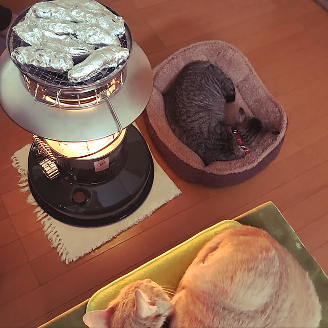 mikan161さんの実例写真