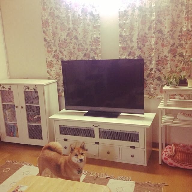 umaumasyuhuさんの実例写真