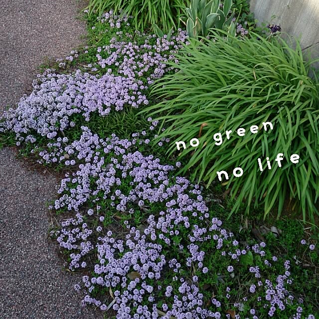 asukaさんの実例写真