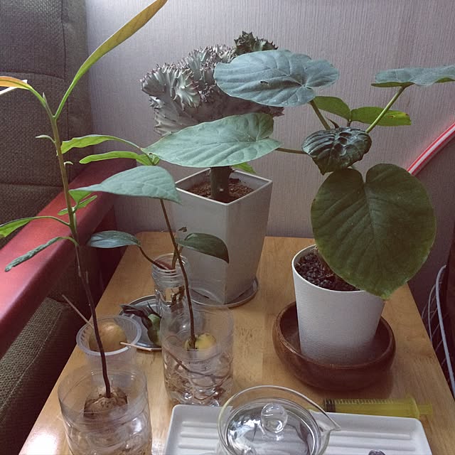3s0xt1gerl1lyさんの実例写真