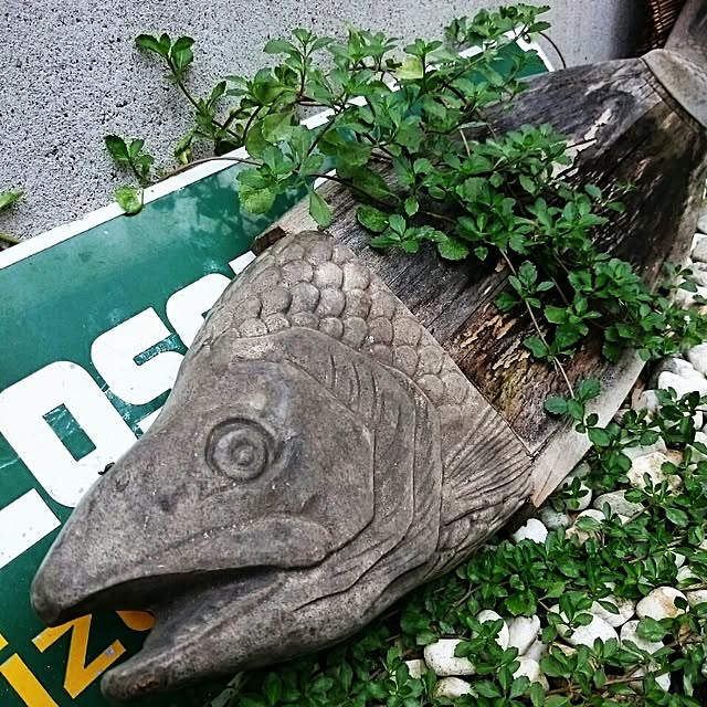 YUCARIN1009さんの実例写真
