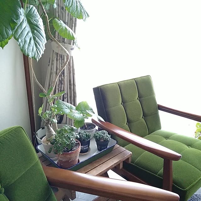 sakusakuさんの部屋