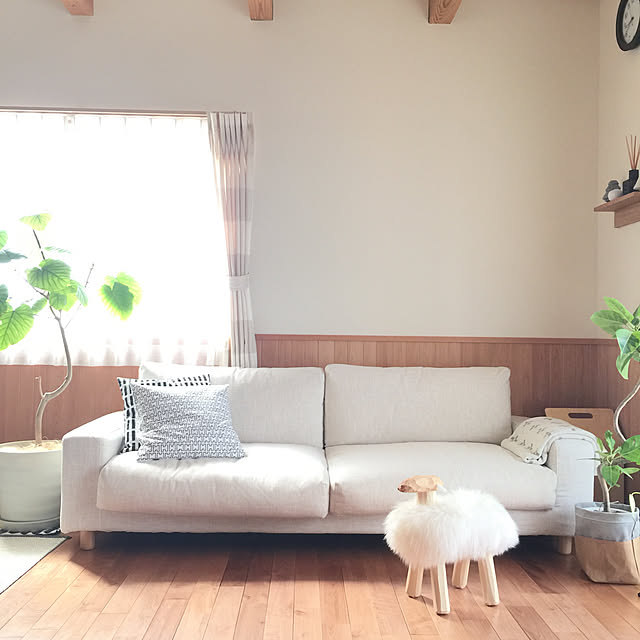 sorasoraさんの実例写真