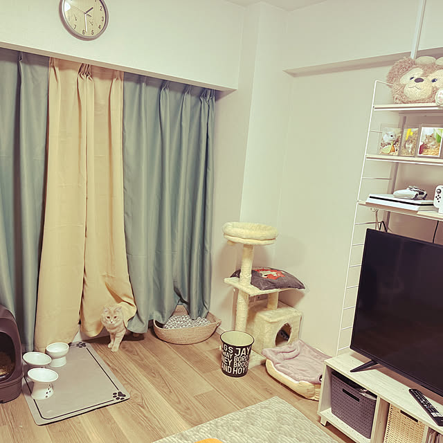 Rikkoさんの実例写真