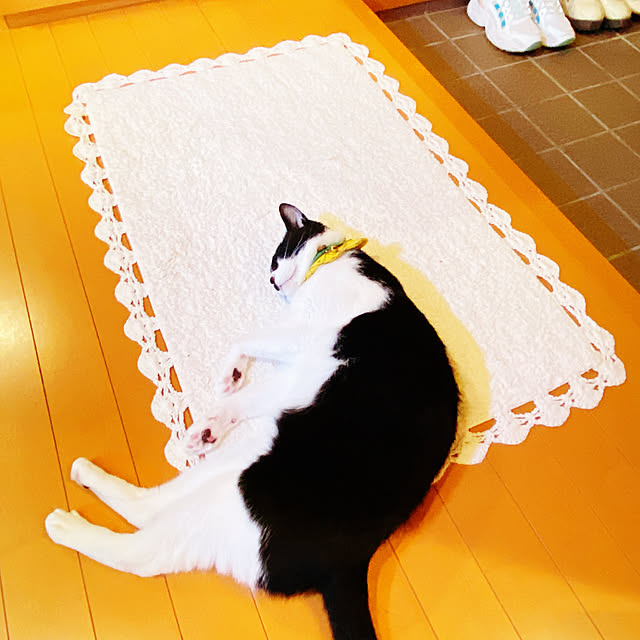 moolさんの部屋