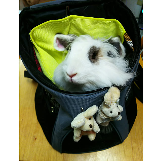 WASABIさんの実例写真