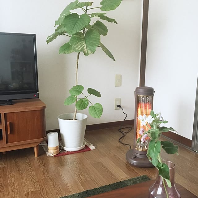 chocoanさんの実例写真